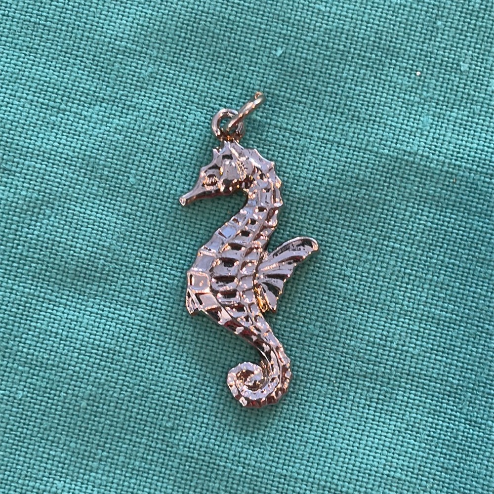 🧜‍♀️ Seahorse Charm